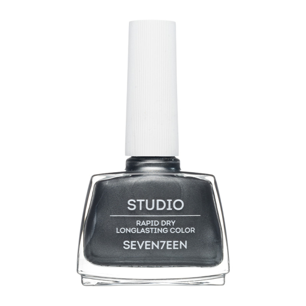 Studio Rapid Dry Longlasting Color 213