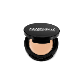 High Coverage Concealer