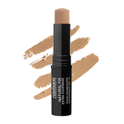 Natural Fix Stick Foundation