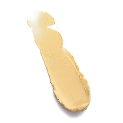 Tone Correcting Primer